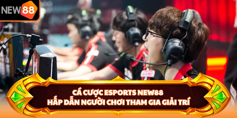 Cá cược Esports New88 hấp dẫn người chơi tham gia giải trí