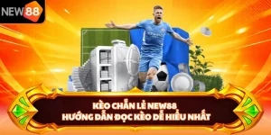 Kèo Chẵn Lẻ NEW88 - Hướng Dẫn Đọc Kèo Dễ Hiểu Nhất