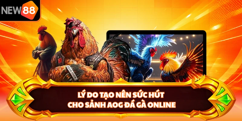 Lý do tạo nên sức hút cho sảnh AOG đá gà online