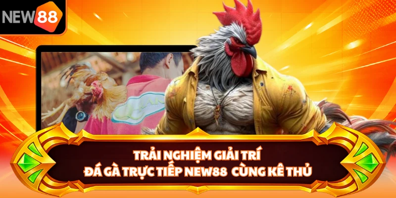 Trải nghiệm giải trí đá gà trực tiếp NEW88 cùng kê thủ